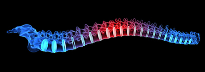 Chiropractic Vacaville CA Understanding Spinal Manipulation