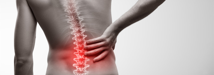 Chiropractic Vacaville CA Role Of Nerves In Mid-Lower Back Pain